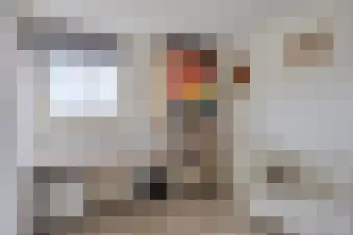 Escudohof 9 Valkenswaard thumbnail 35