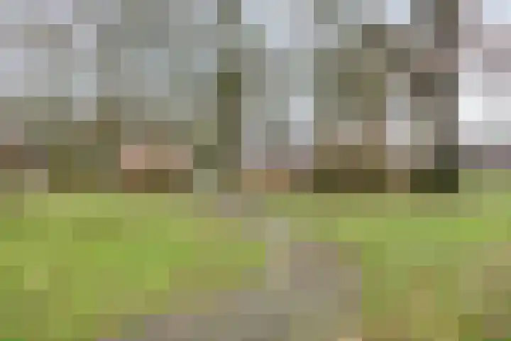 Escudohof 9 Valkenswaard thumbnail 42