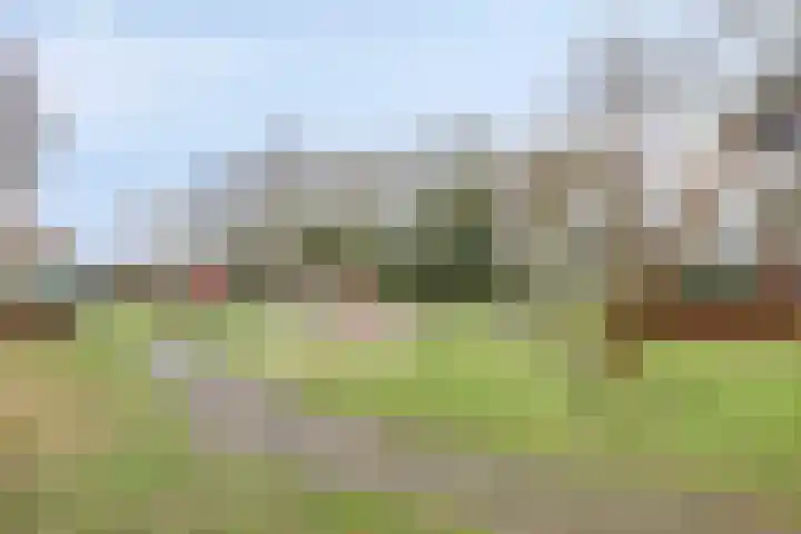 Escudohof 9 Valkenswaard thumbnail 43