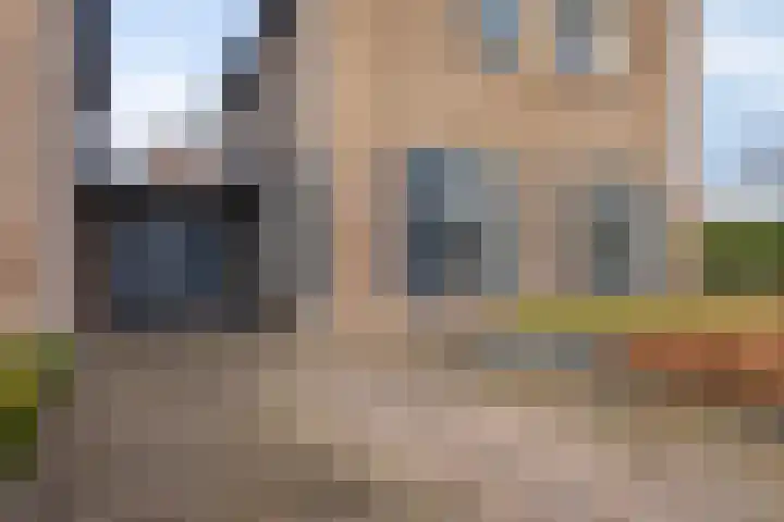 Escudohof 9 Valkenswaard thumbnail 7