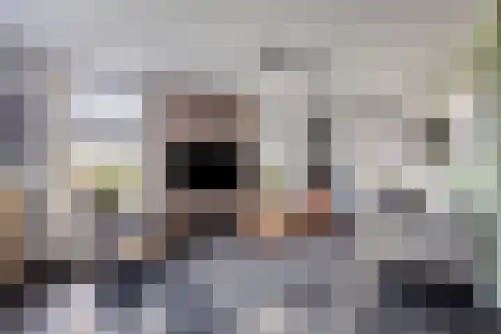 Escudohof 9 Valkenswaard thumbnail 9