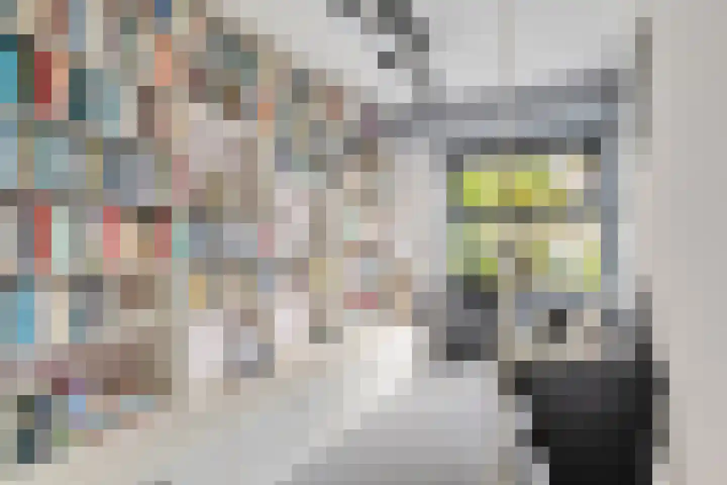 Escudolaan 34 Amsterdam thumbnail 12