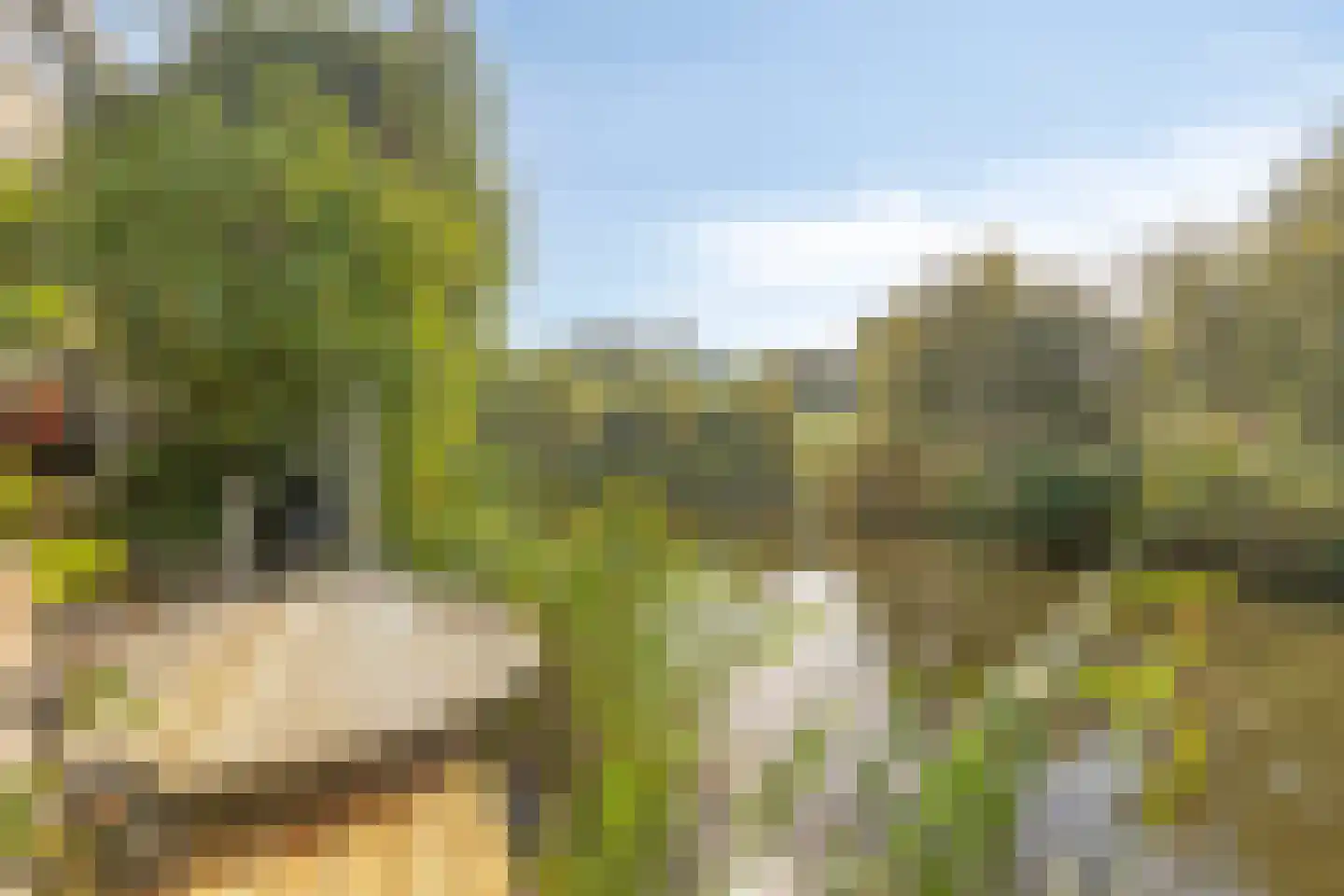 Escudolaan 34 Amsterdam thumbnail 17