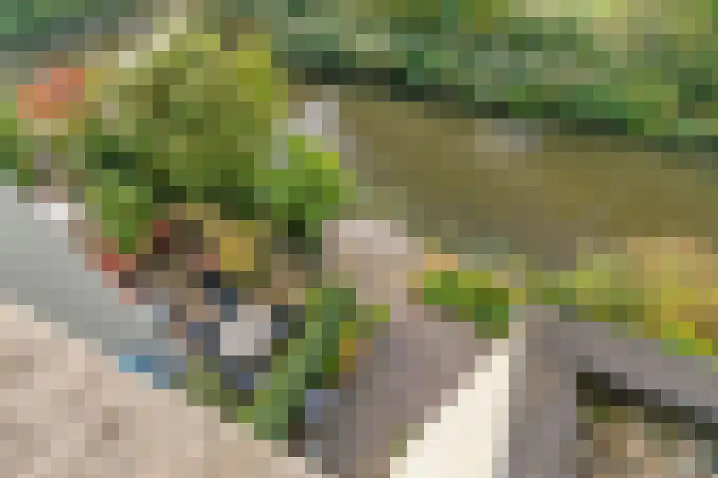 Escudolaan 34 Amsterdam thumbnail 28