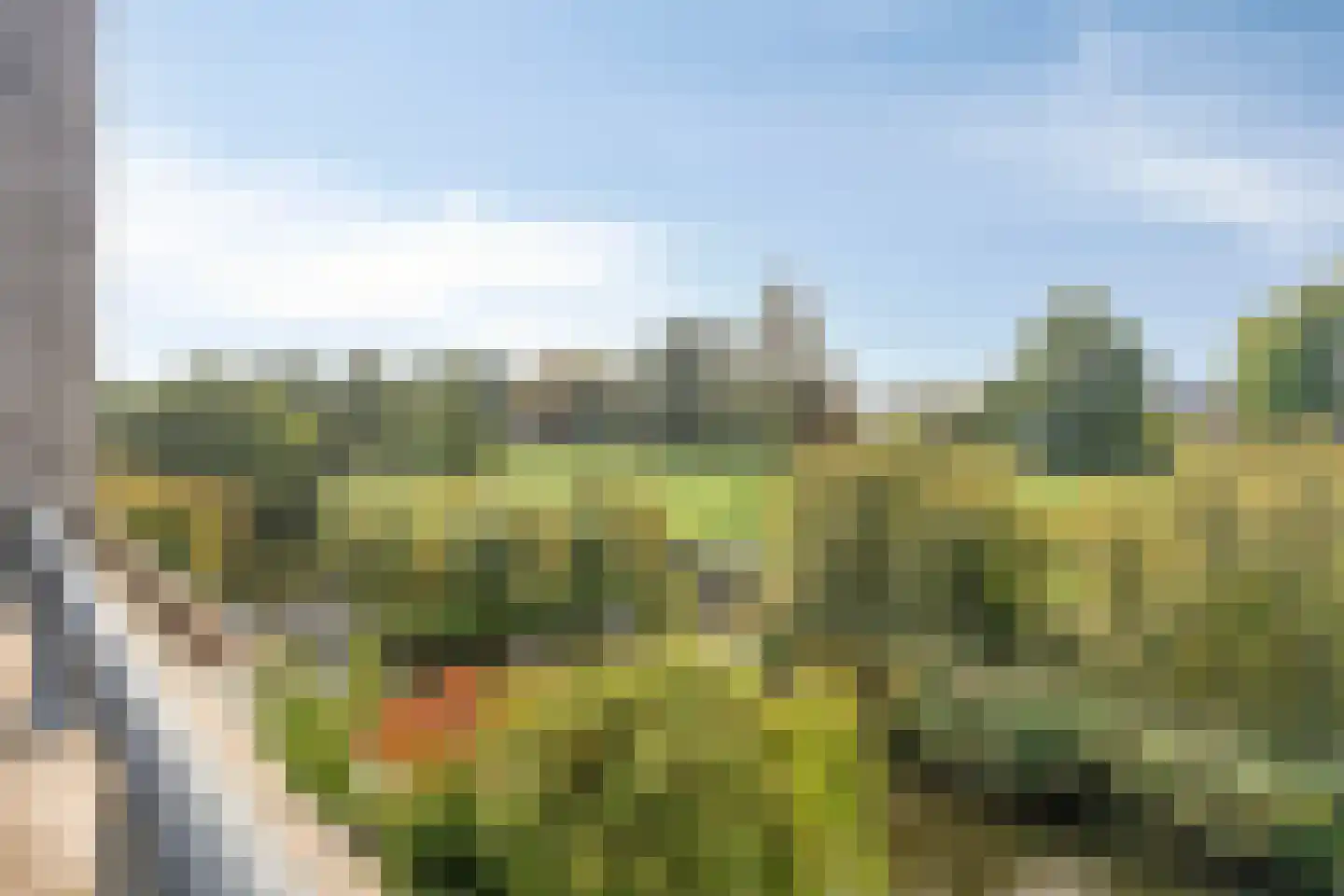 Escudolaan 34 Amsterdam thumbnail 31