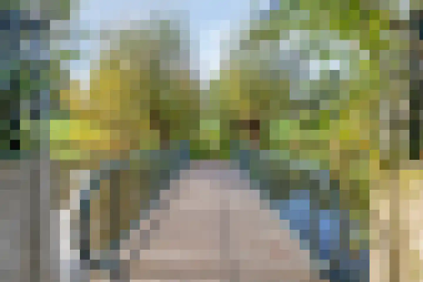 Escudolaan 34 Amsterdam thumbnail 44