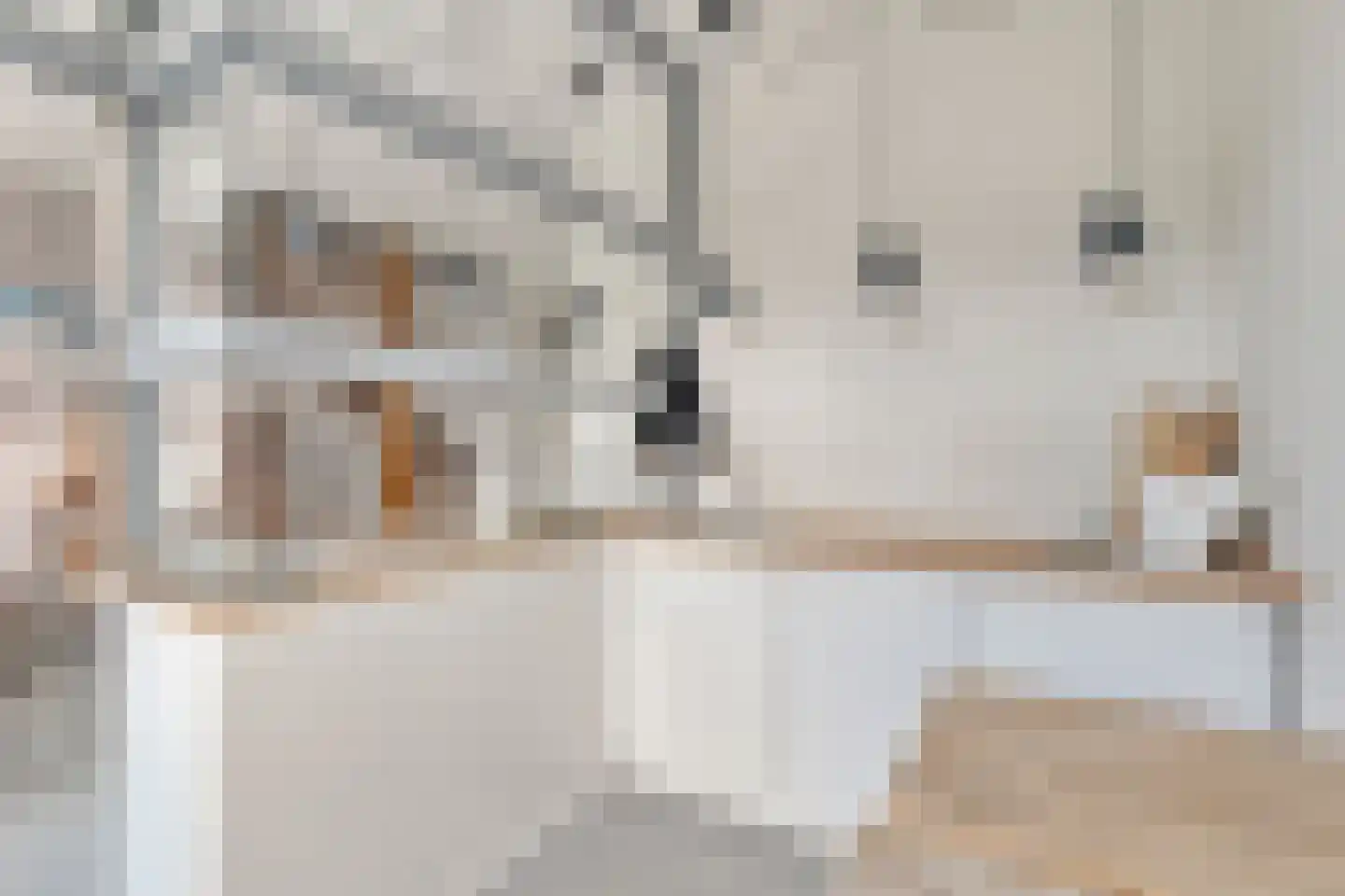 Escudolaan 34 Amsterdam thumbnail 9