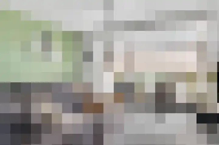 Esdek 25 Nederweert-Eind thumbnail 13