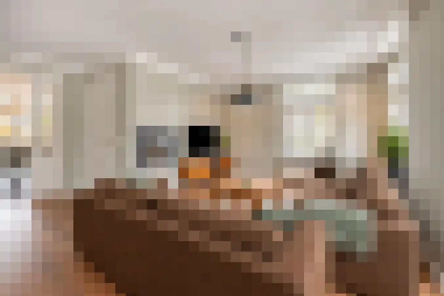 Esdonkstraat 13 Veghel thumbnail 13