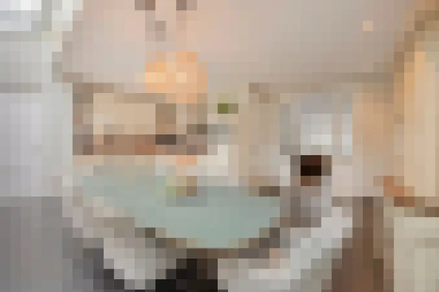 Esdonkstraat 13 Veghel thumbnail 21