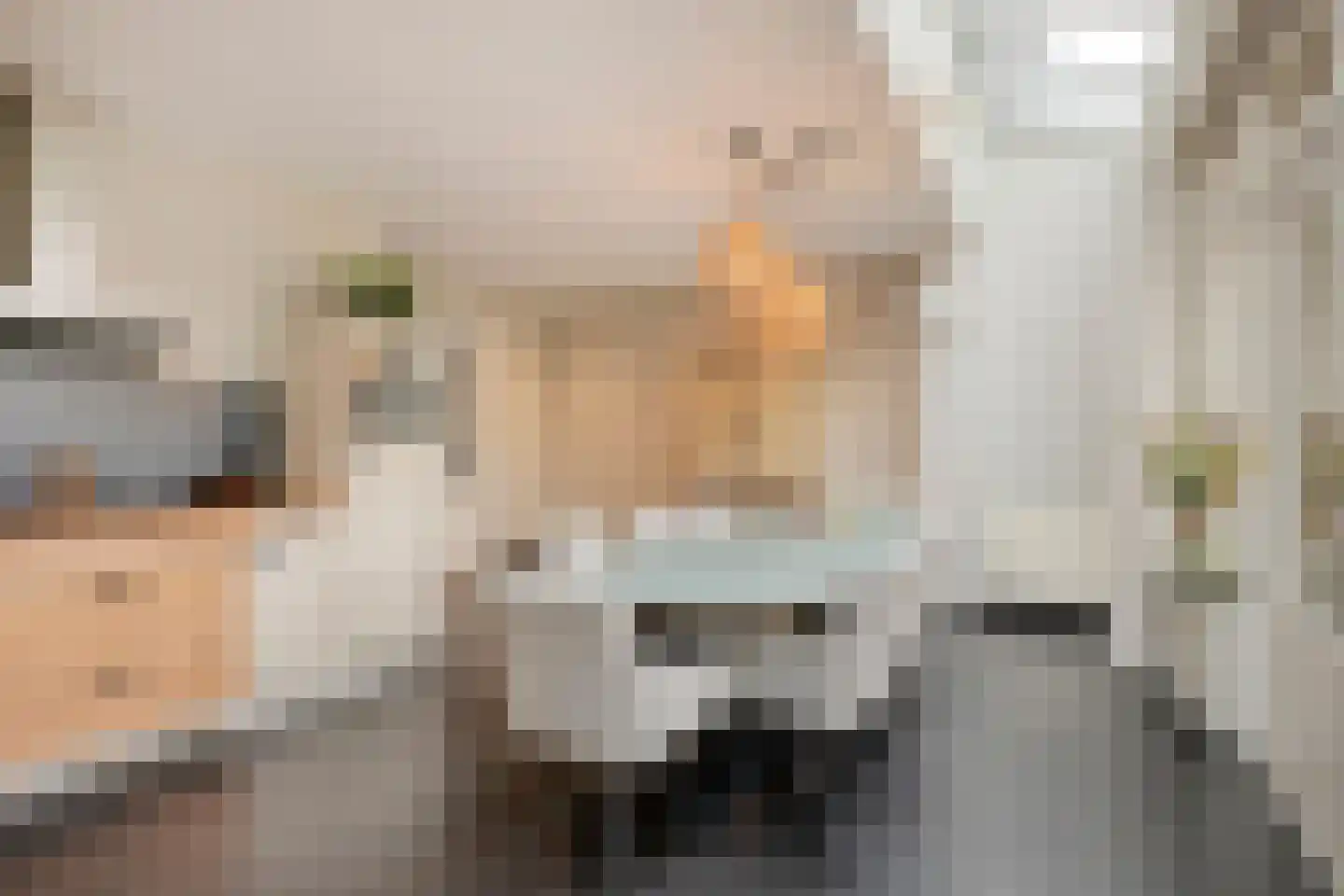 Esdonkstraat 13 Veghel thumbnail 23