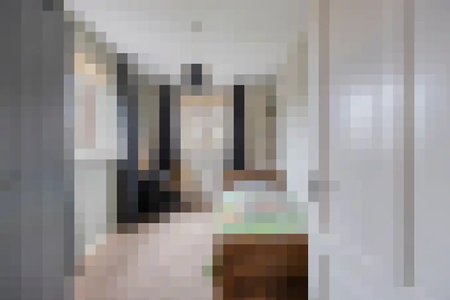 Esdonkstraat 13 Veghel thumbnail 38