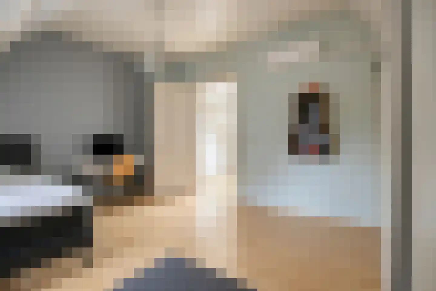 Esdonkstraat 13 Veghel thumbnail 42