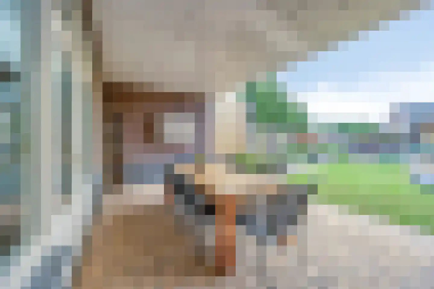 Esdonkstraat 13 Veghel thumbnail 43