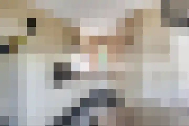 Esdonkstraat 19 Veghel thumbnail 17