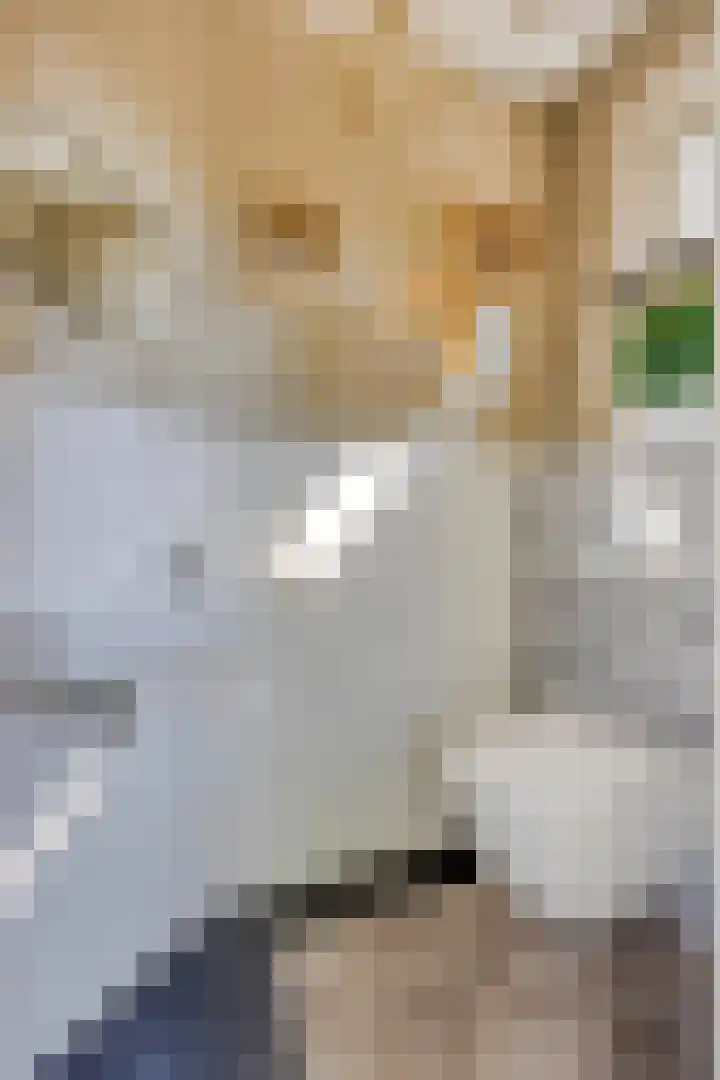 Esdonkstraat 19 Veghel thumbnail 22