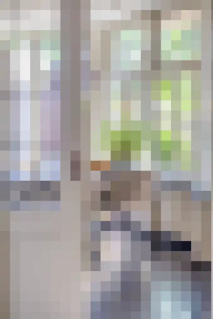 Esdonkstraat 19 Veghel thumbnail 23