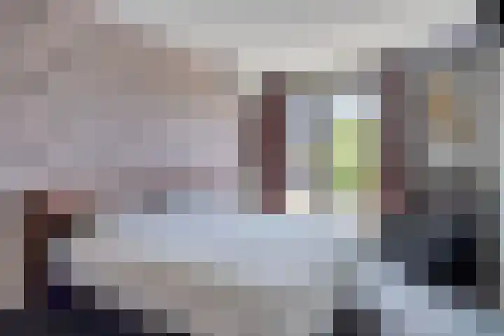 Esdonkstraat 19 Veghel thumbnail 28