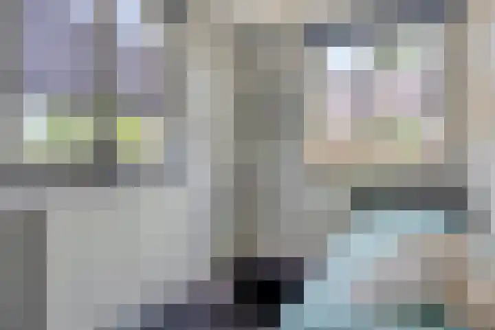 Esdonkstraat 19 Veghel thumbnail 33