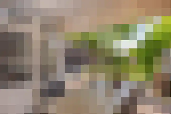 Esdonkstraat 19 Veghel thumbnail 39