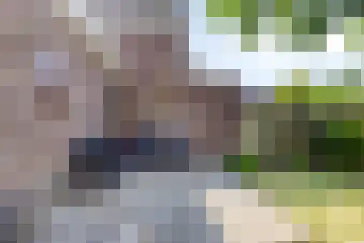 Esdonkstraat 19 Veghel thumbnail 42
