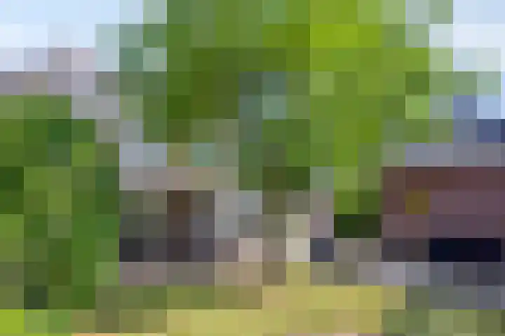 Esdonkstraat 19 Veghel thumbnail 43