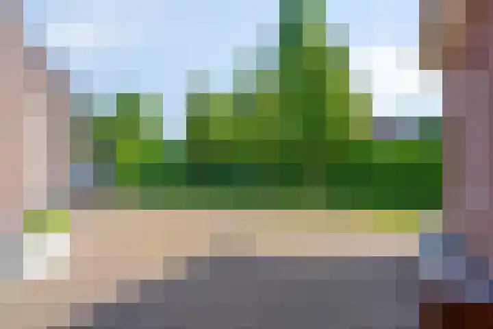 Esdonkstraat 19 Veghel thumbnail 44