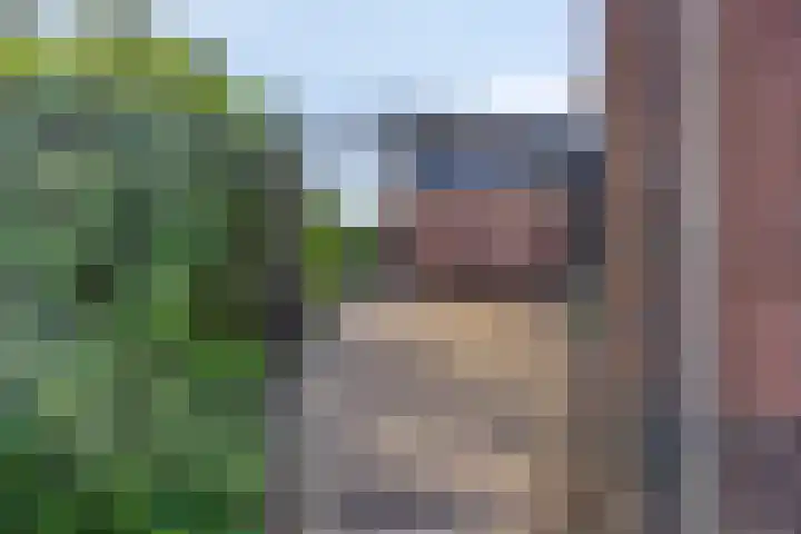 Esdonkstraat 19 Veghel thumbnail 7
