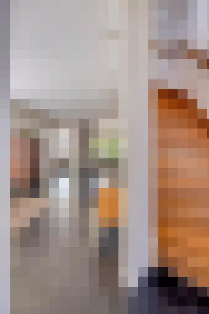 Esdonkstraat 19 Veghel thumbnail 9