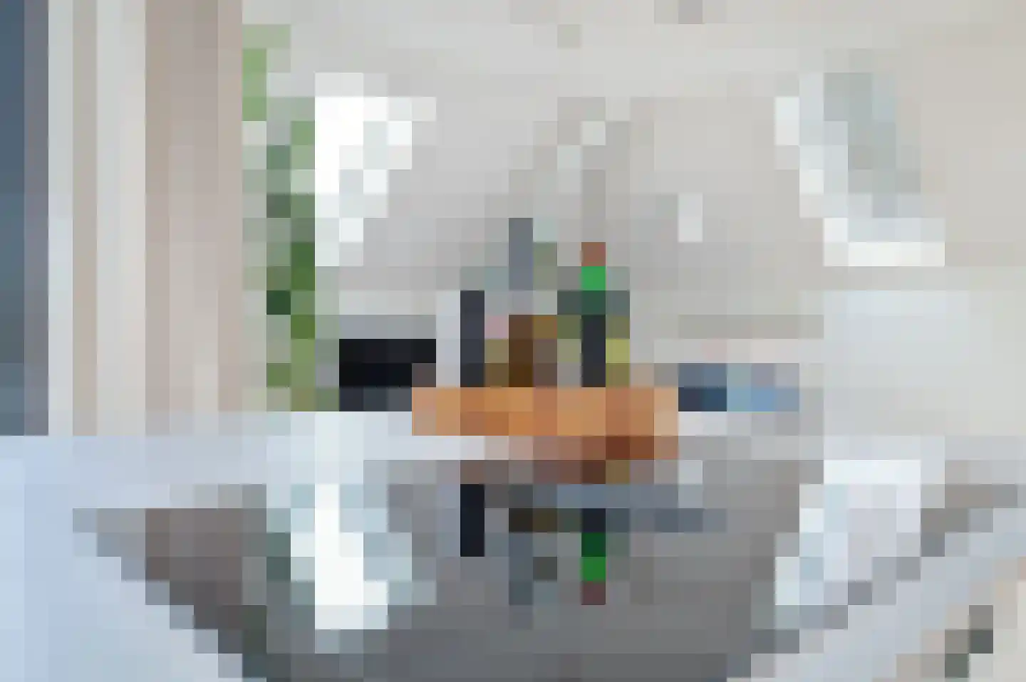 Esdonkstraat 6 D Veghel thumbnail 11