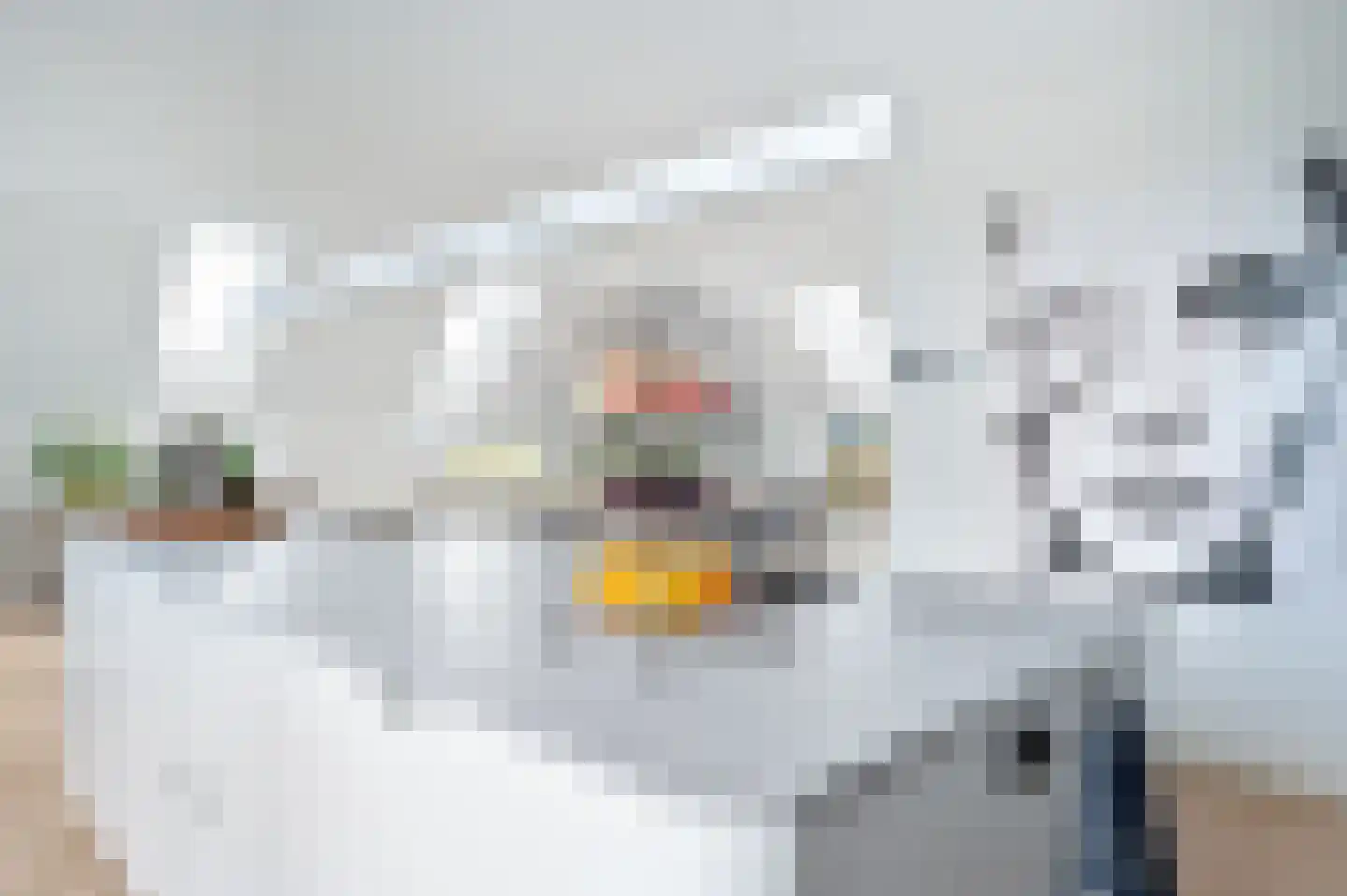 Esdonkstraat 6 D Veghel thumbnail 13