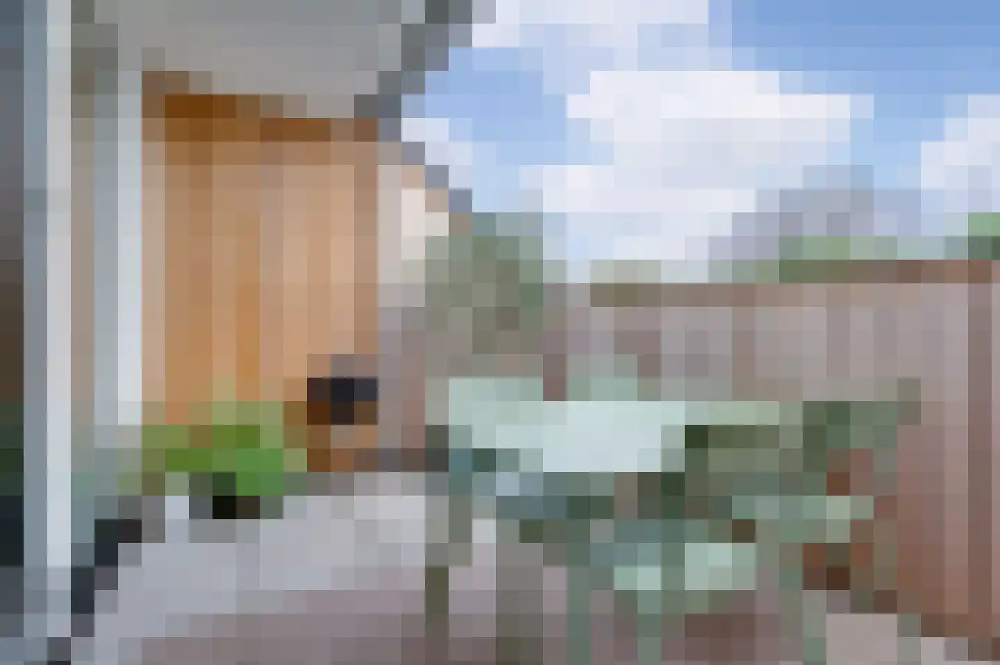 Esdonkstraat 6 D Veghel thumbnail 14