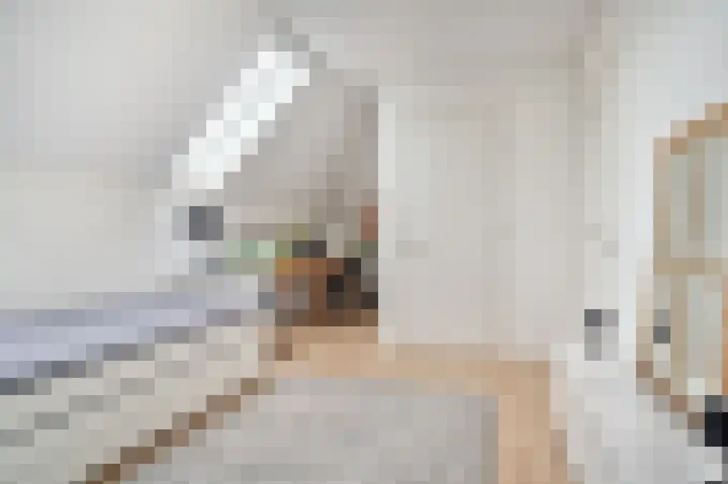 Esdonkstraat 6 D Veghel thumbnail 19
