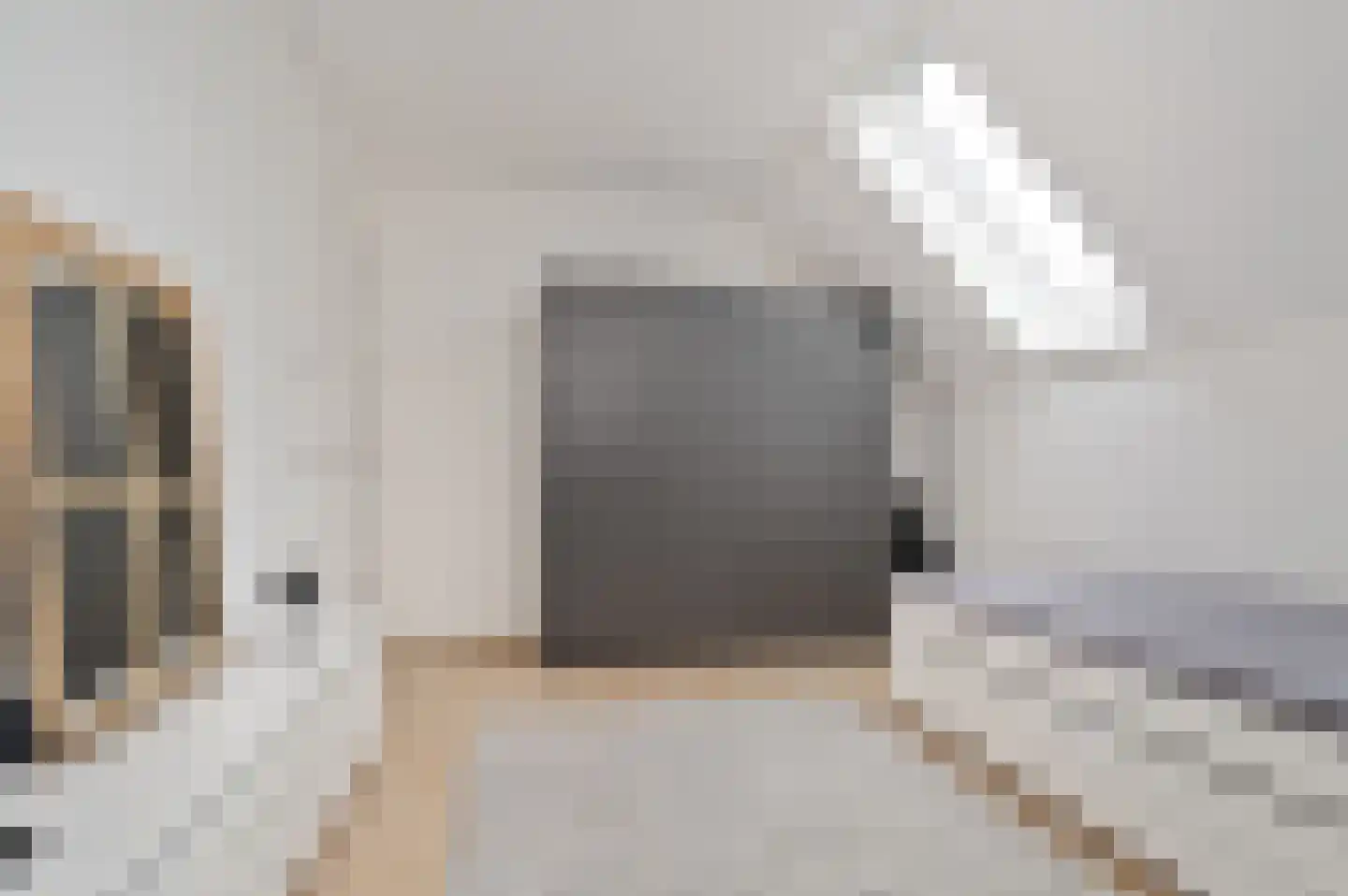 Esdonkstraat 6 D Veghel thumbnail 20