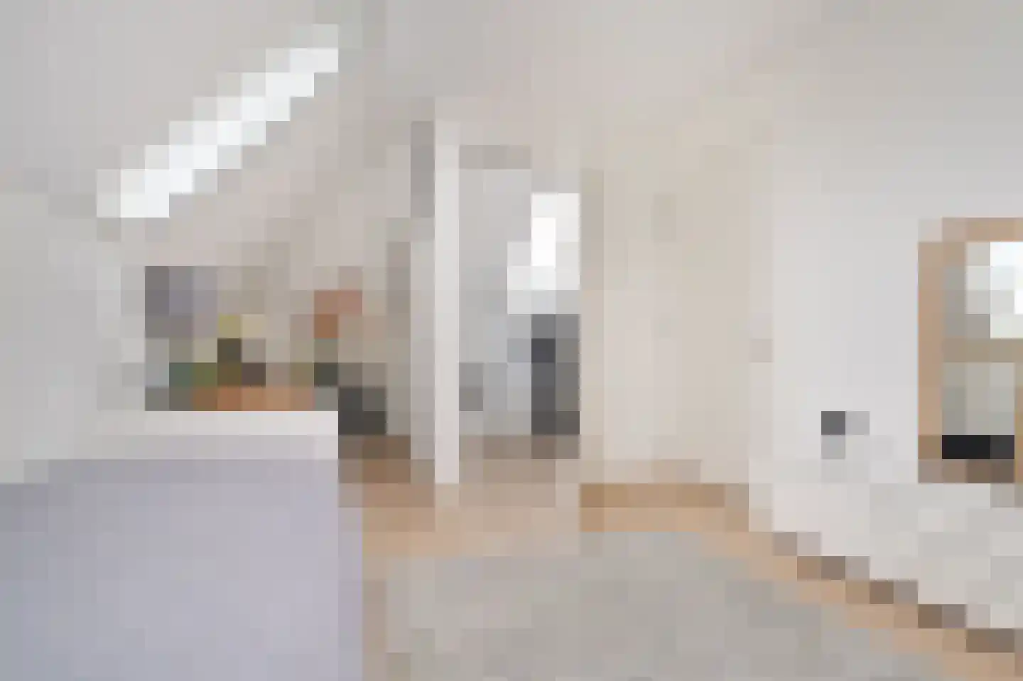 Esdonkstraat 6 D Veghel thumbnail 21