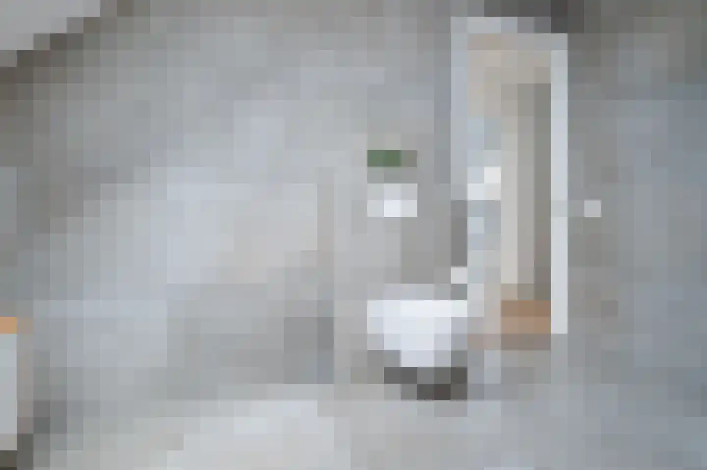 Esdonkstraat 6 D Veghel thumbnail 24