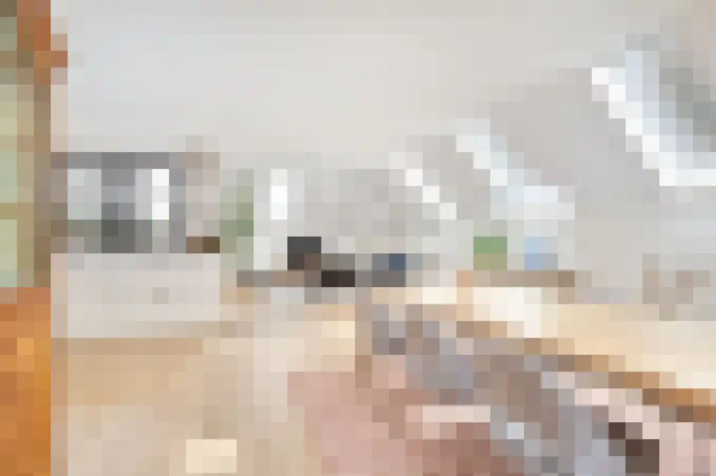 Esdonkstraat 6 D Veghel thumbnail 4