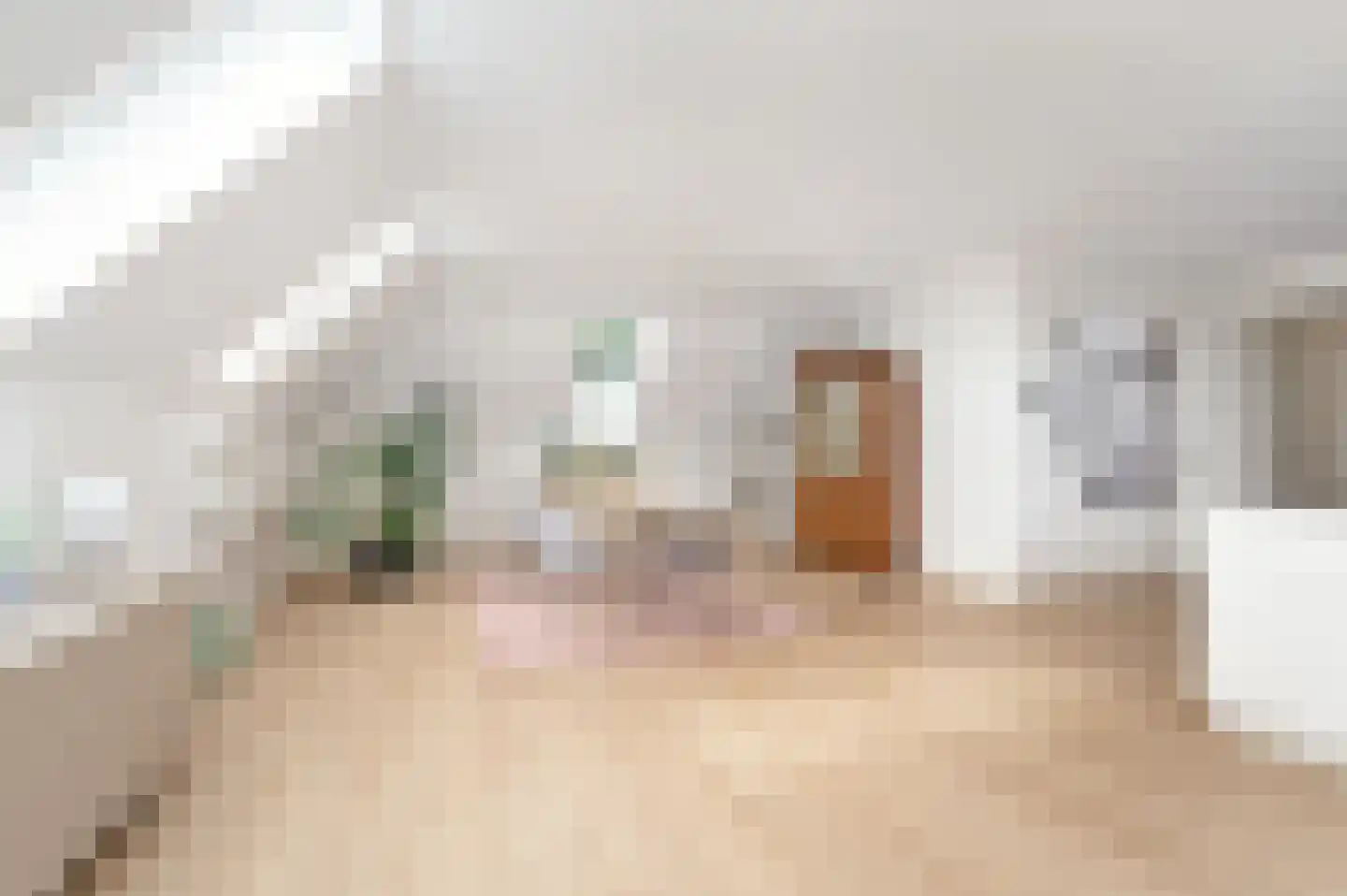 Esdonkstraat 6 D Veghel thumbnail 6