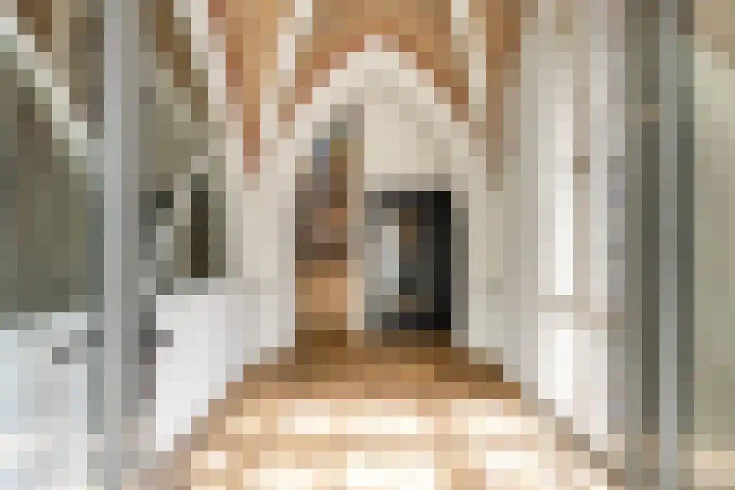 Esdonkstraat 8 E Veghel thumbnail 11