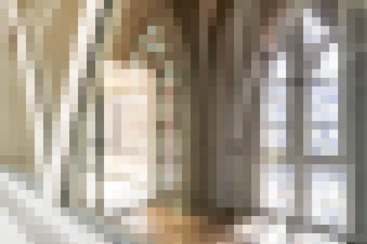 Esdonkstraat 8 E Veghel thumbnail 12