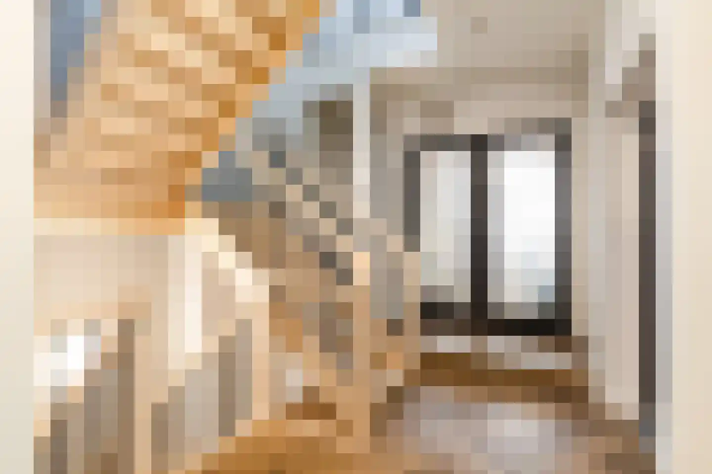Esdonkstraat 8 E Veghel thumbnail 15