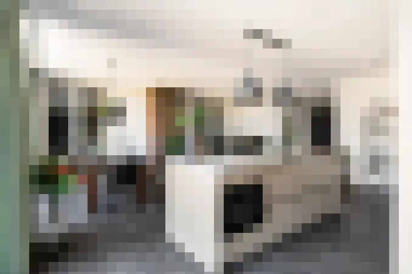 Esdonkstraat 8 E Veghel thumbnail 27
