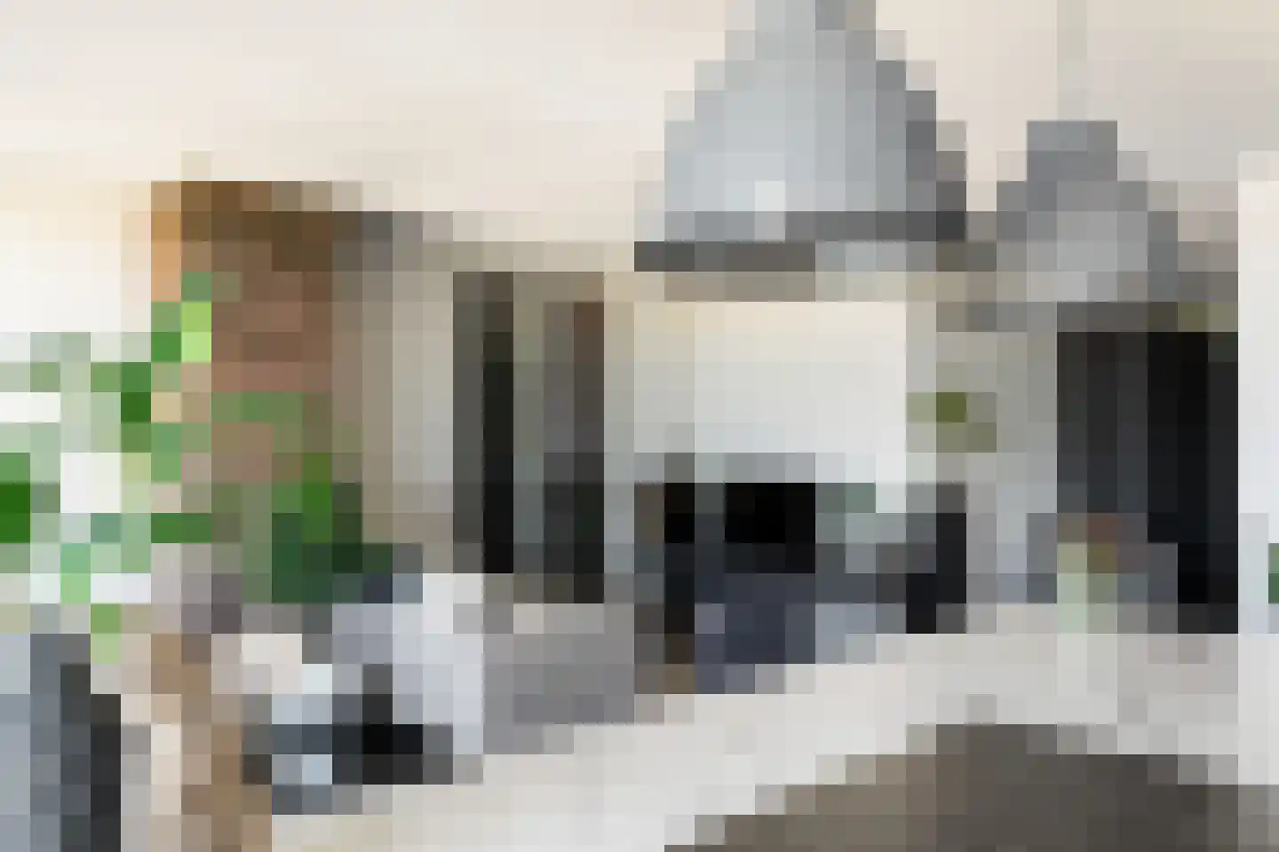 Esdonkstraat 8 E Veghel thumbnail 28