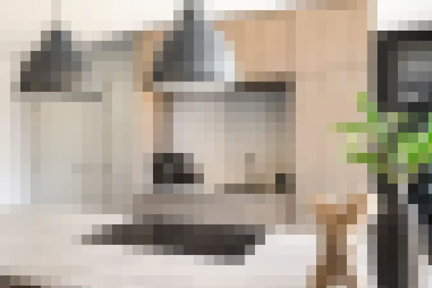 Esdonkstraat 8 E Veghel thumbnail 29