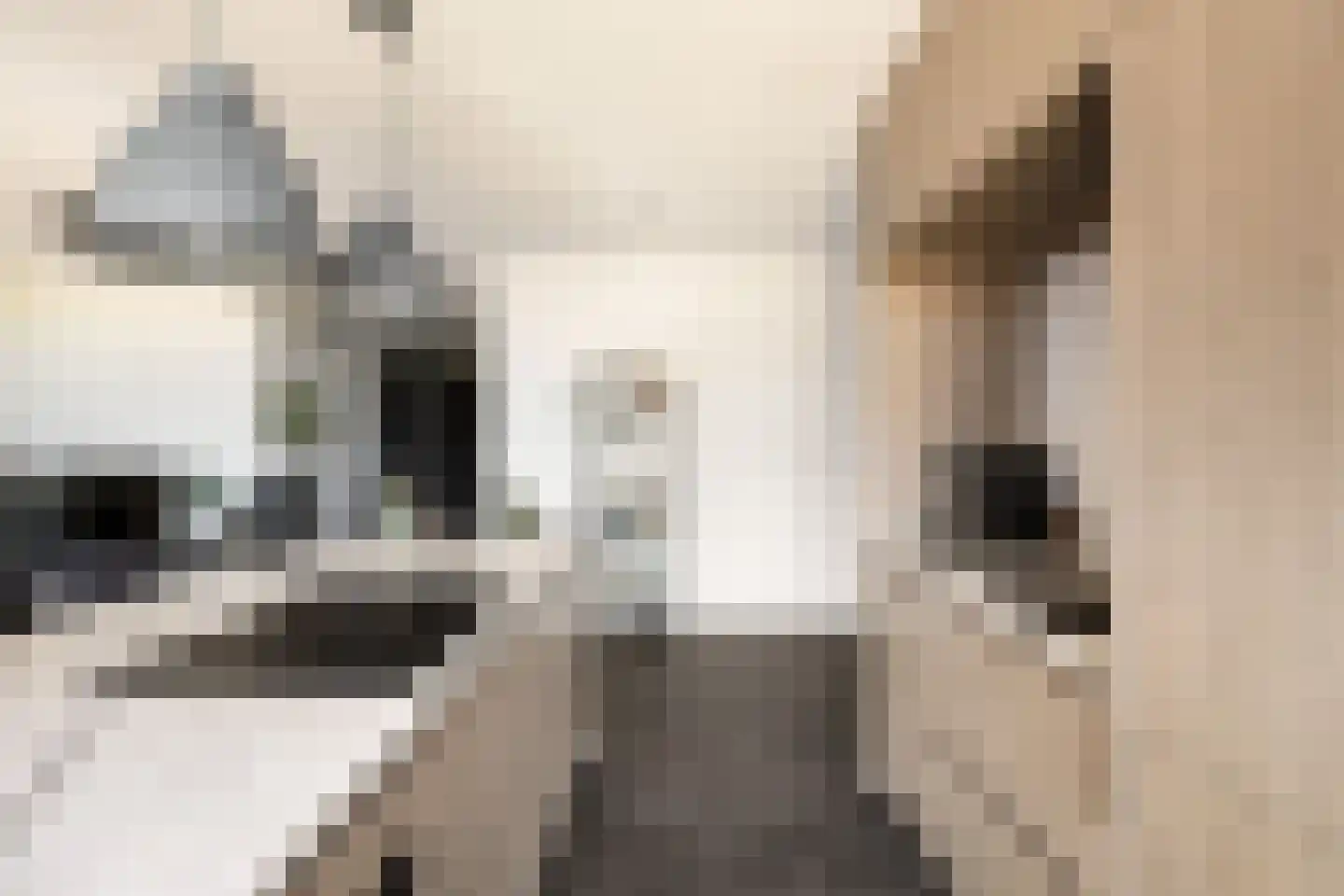 Esdonkstraat 8 E Veghel thumbnail 31