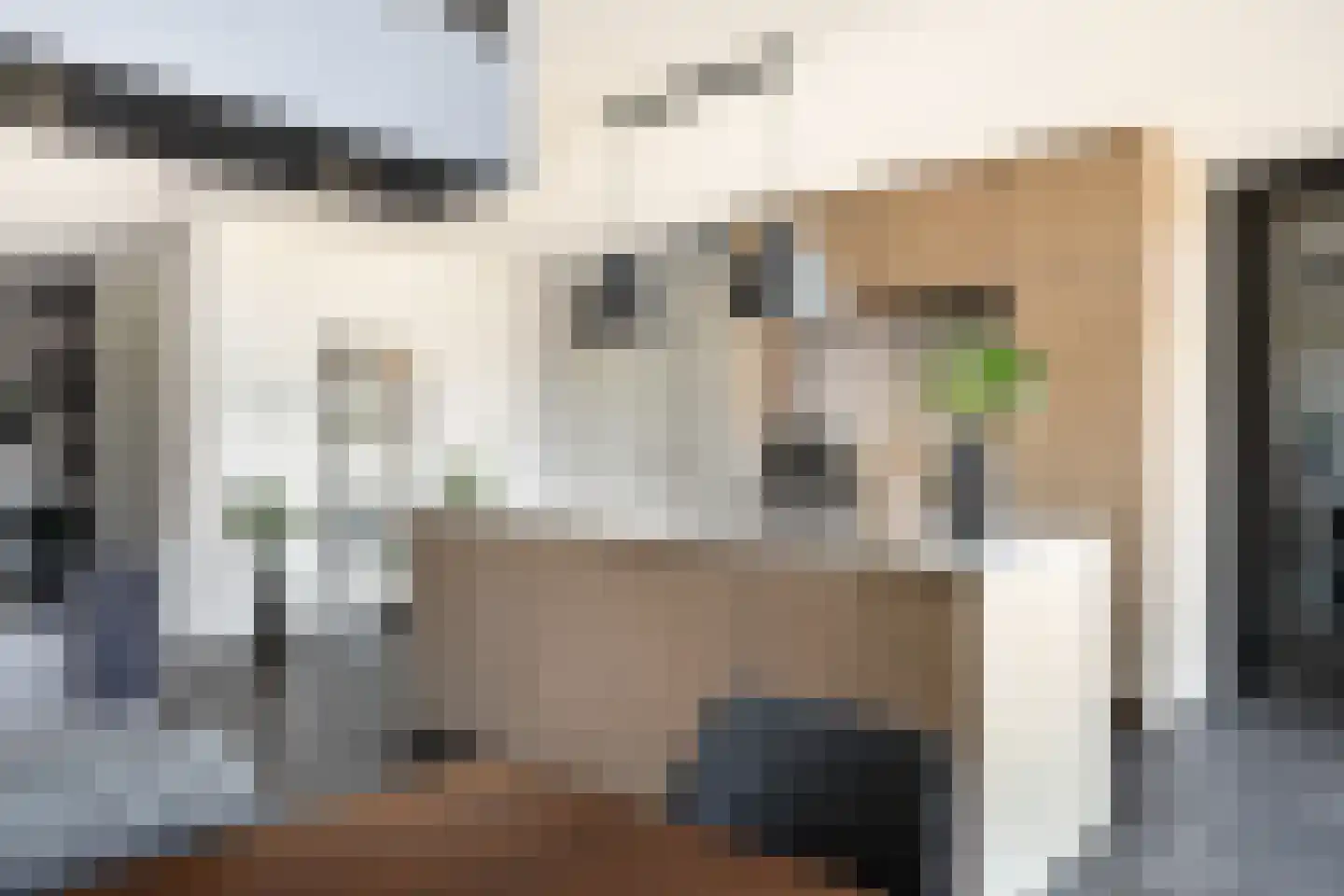 Esdonkstraat 8 E Veghel thumbnail 32