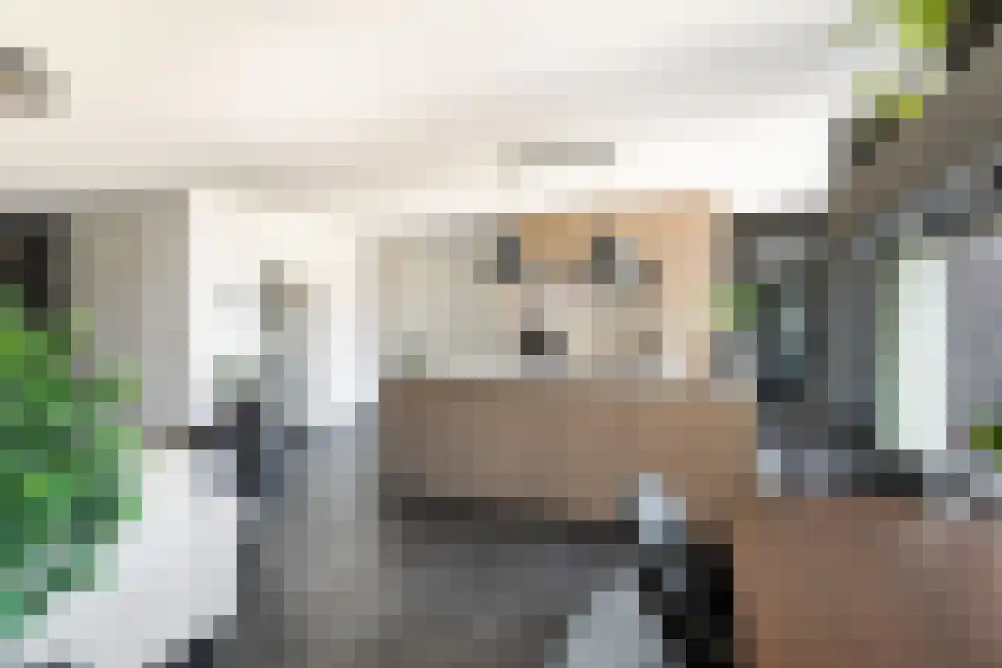 Esdonkstraat 8 E Veghel thumbnail 33