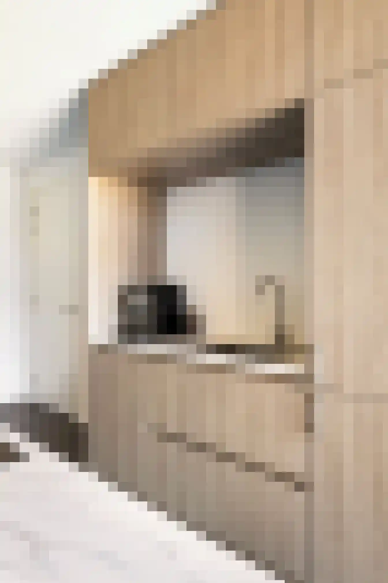 Esdonkstraat 8 E Veghel thumbnail 34