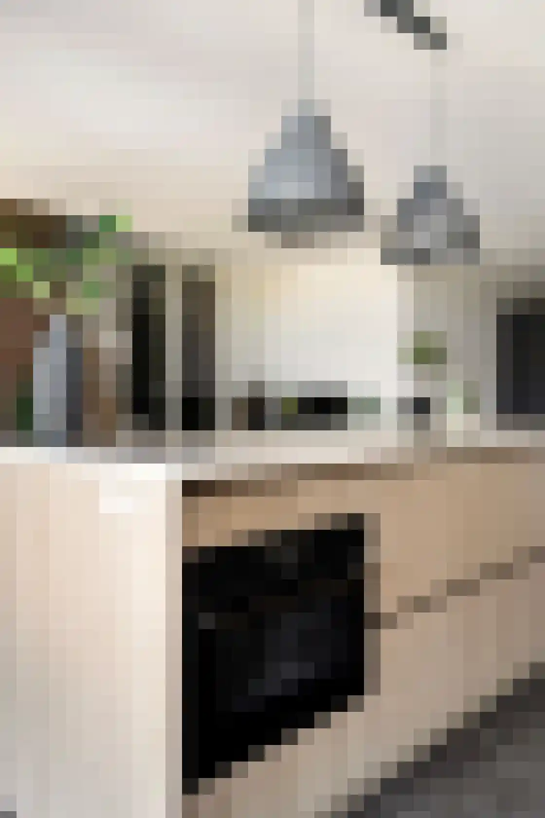 Esdonkstraat 8 E Veghel thumbnail 35