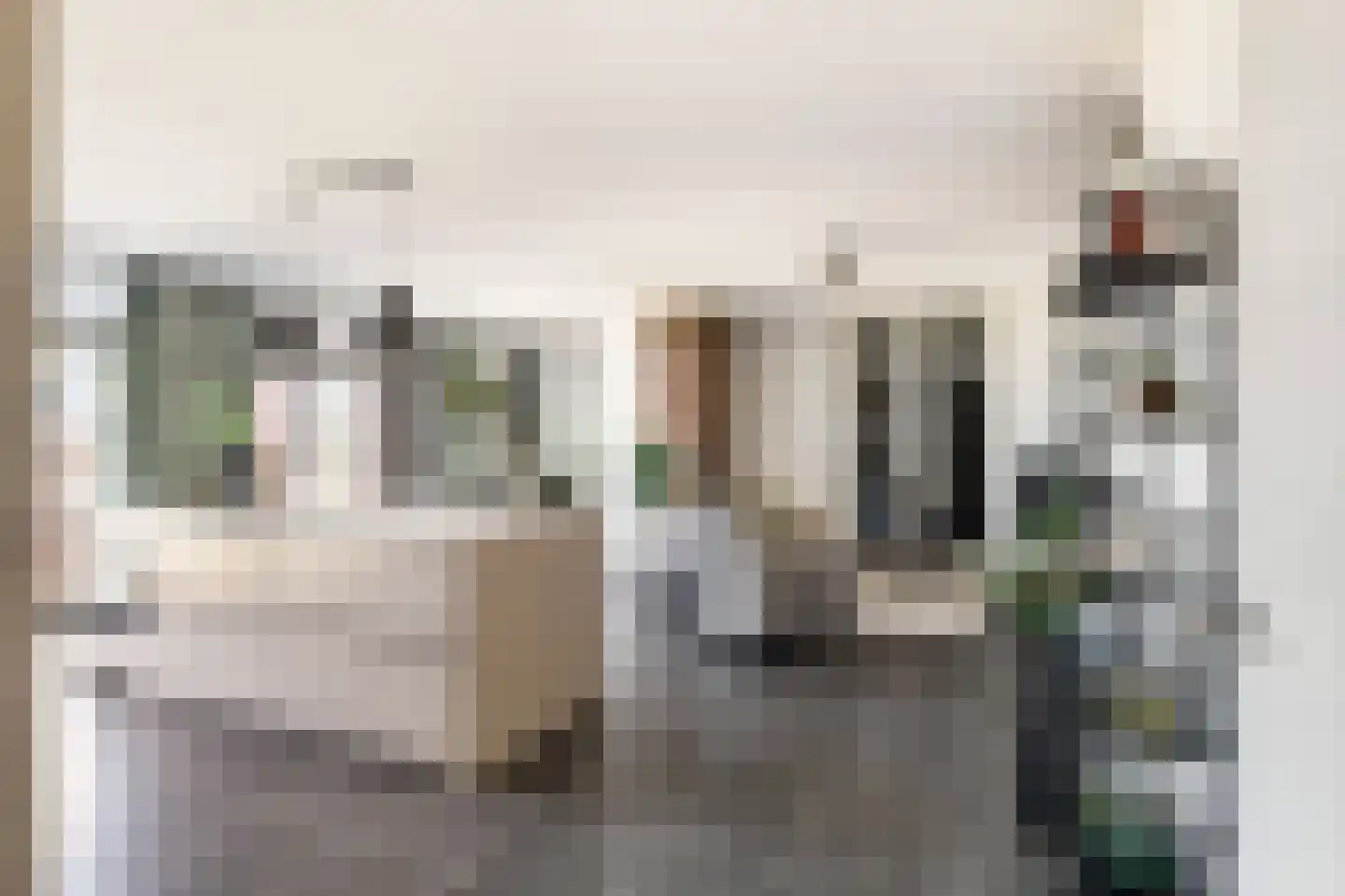 Esdonkstraat 8 E Veghel thumbnail 36